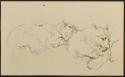 Arthur Lismer, 1885 - 1969
Untitled (large cats)
pen and ink on paper
22.6 x 14 cm
Arthur L…