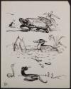 Arthur Lismer, 1885 - 1969
Untitled (turtle and ant; ducks; snakes)
ink on paper
20.4 x 25.6…
