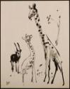 Arthur Lismer, 1885 - 1969
Untitled (giraffes and antelope)
ink on paper
20.3 x 25.5 cm
Art…