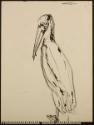 Arthur Lismer, 1885 - 1969
Untitled (pelican)
crayon (?) and pen and ink
22.8 x 30.5 cm
Art…