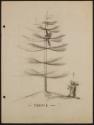 Arthur Lismer, 1885 - 1969
PLEASE? 
conté on paper
22.7 x 30.3 cm
Arthur Lismer Collection…