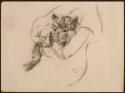 Arthur Lismer, 1885 - 1969
Bunty pup
conté on paper
28.3 x 38.2 cm
Arthur Lismer Collection…