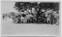 J.E.H. and wife Joan MacDonald, photographers
West Indies, Spring 1932
black and white print…