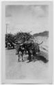 J.E.H. and wife Joan MacDonald, photographers
West Indies, Spring 1932
black and white print…