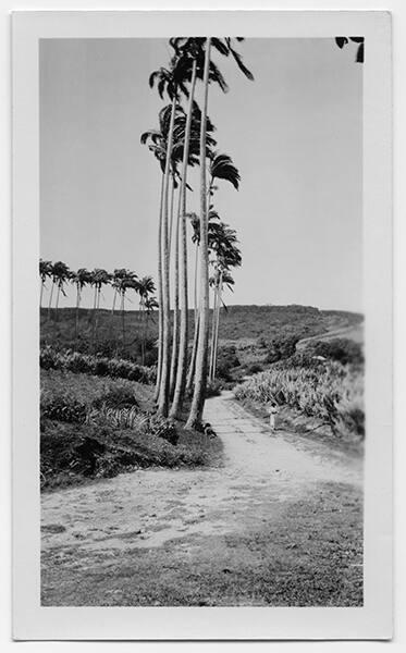 J.E.H. and wife Joan MacDonald, photographers
West Indies, Spring 1932 - Castries, St. Lucia
…