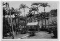 J.E.H. and wife Joan MacDonald, photographers
West Indies, Spring 1932
black and white print…