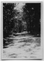 J.E.H. and wife Joan MacDonald, photographers
West Indies, Spring 1932
black and white print…