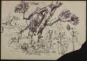 Arthur Lismer, 1885 - 1969
Untitled (two men in fanciful forest surrounded by animals)
pen an…