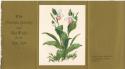 A.J. Casson (1898 - 1992)
With Christmas Greetings and Best Wishes for the New Year / Lady Sli…