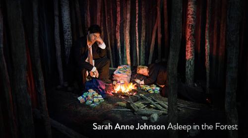Sarah Anne Johnson
