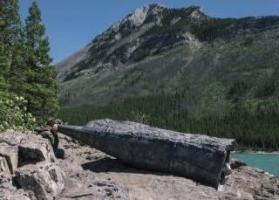 Wave Sound (Banff National Park, Alberta)