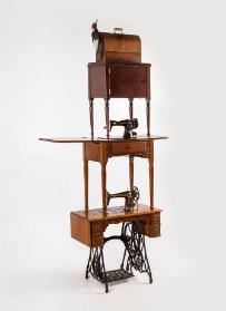 Sightings (Ivorybilled Woodpecker)