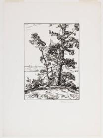 Photo Credit: Toni Hafkenscheid