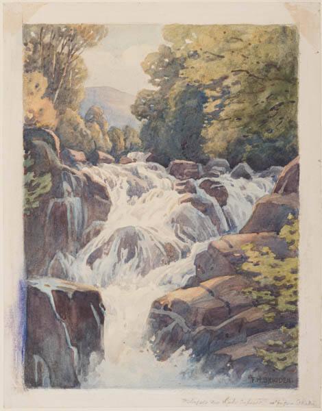 Photo Credit: Toni Hafkenscheid