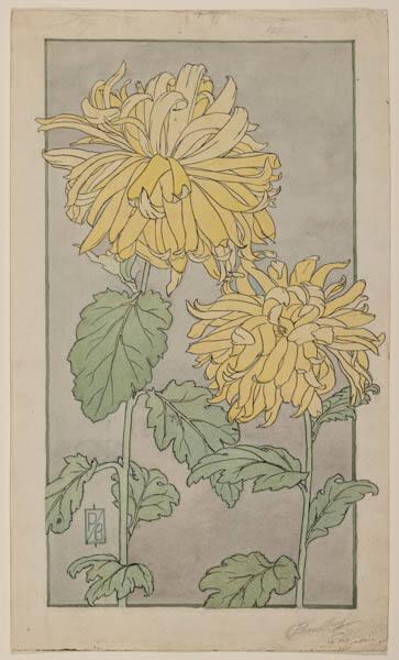 Photo Credit: Toni Hafkenscheid