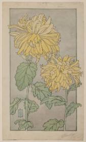 Photo Credit: Toni Hafkenscheid