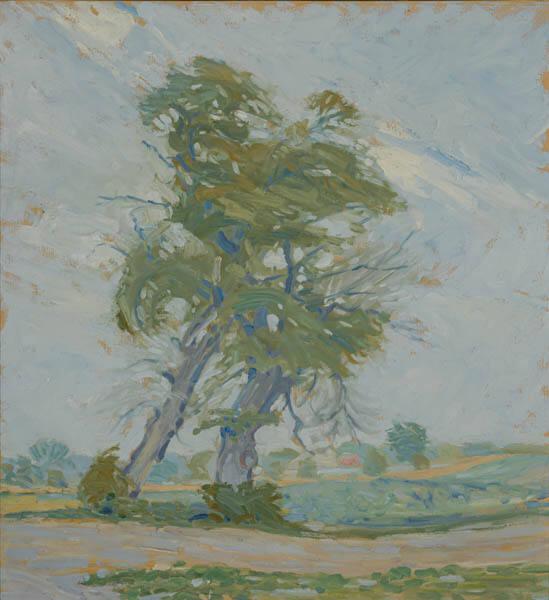 Photo Credit: Toni Hafkenscheid