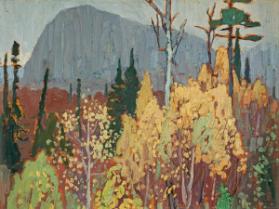 Photo Credit: Toni Hafkenscheid