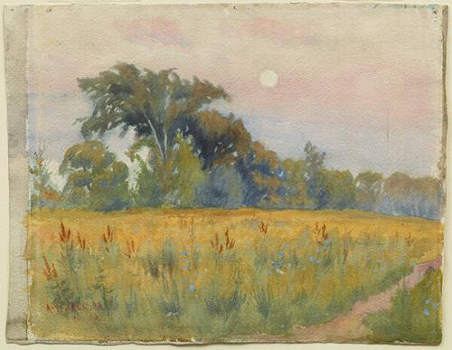 Photo Credit: Craig Boyko