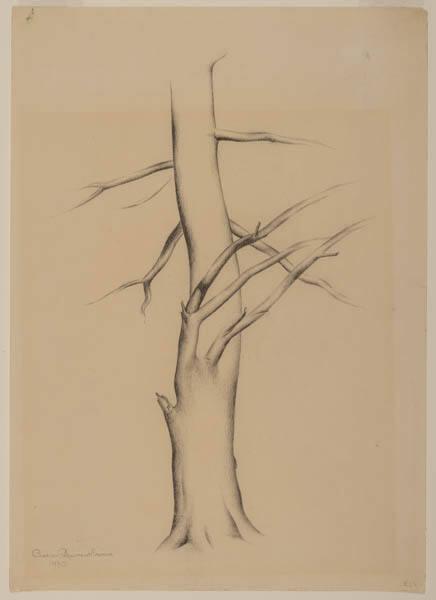 Photo Credit: Toni Hafkenscheid