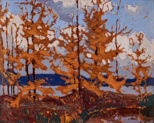 Photo Credit: Toni Hafkenscheid