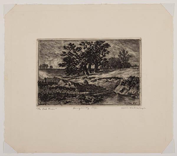 Photo Credit: Toni Hafkenscheid