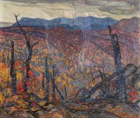 Photo Credit: Toni Hafkenscheid