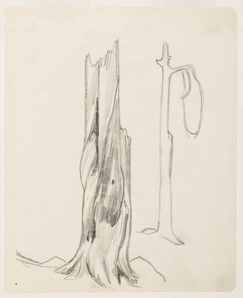 Photo Credit: Toni Hafkenscheid