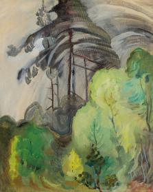 Photo Credit: Toni Hafkenscheid