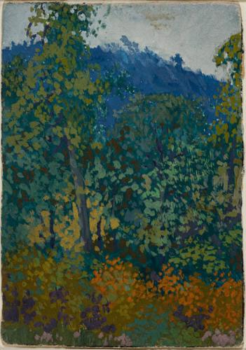 Photo Credit: Toni Hafkenscheid