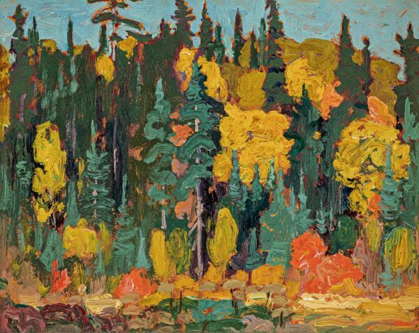 Photo Credit: Toni Hafkenscheid