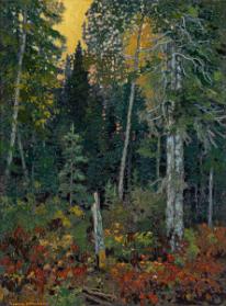 Photo Credit: Toni Hafkenscheid