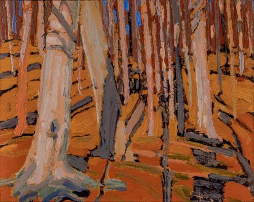 Photo Credit: Toni Hafkenscheid