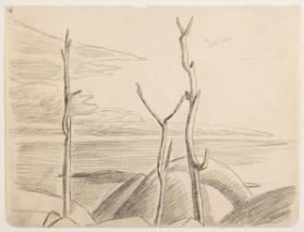 Photo Credit: Toni Hafkenscheid