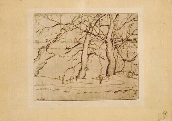 Three Trees by a River