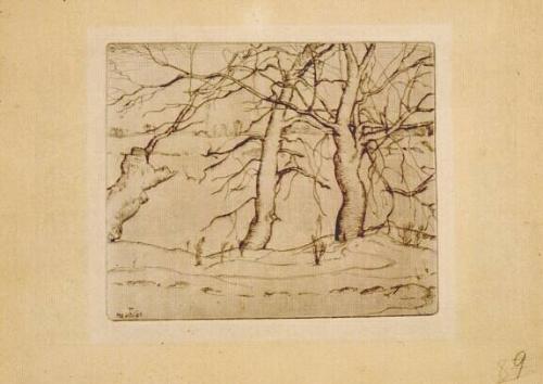 Three Trees by a River