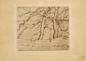 Three Trees by a River