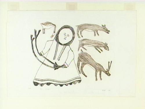 Cape Dorset Studio