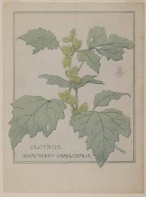 Photo Credit: Toni Hafkenscheid