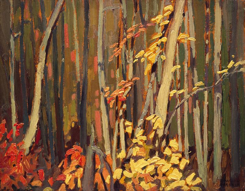 Photo Credit: Craig Boyko