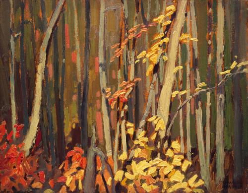 Photo Credit: Craig Boyko