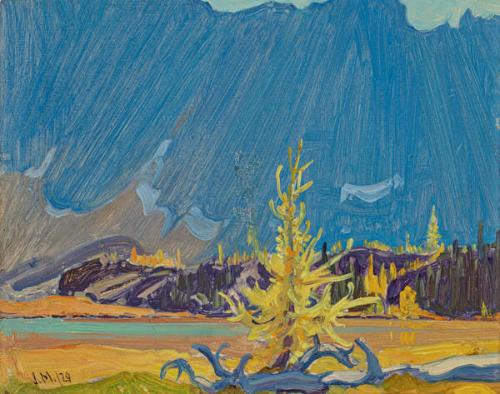 Photo Credit: Toni Hafkenscheid