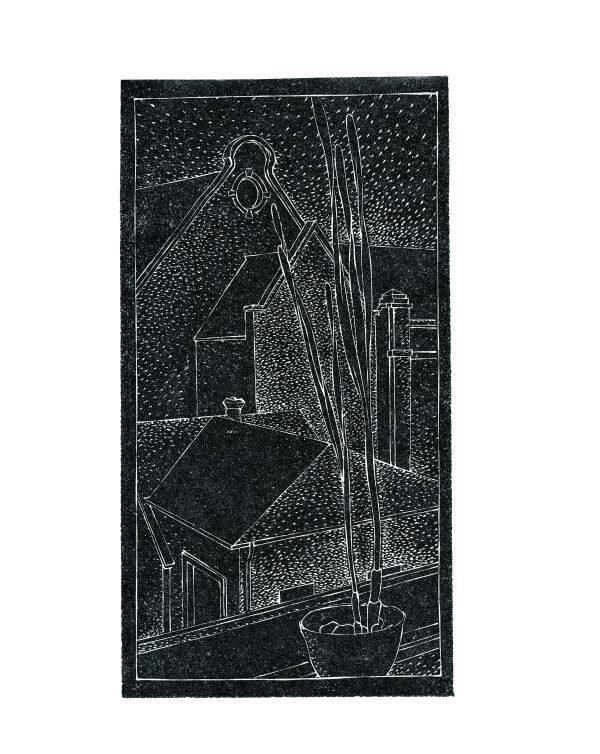 View from Window with Potted Plant