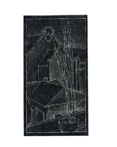 View from Window with Potted Plant