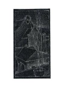 View from Window with Potted Plant