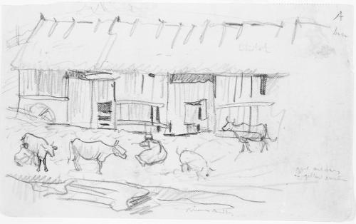 Farmyard
