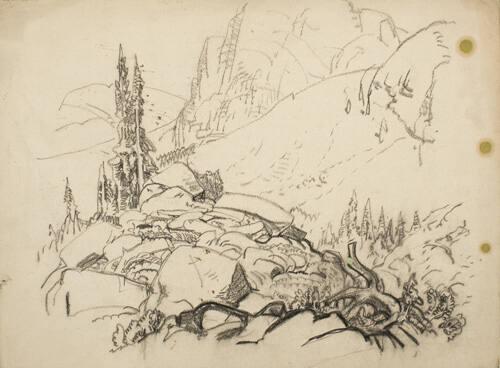 Rocky Landscape