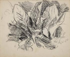 Photo Credit: Toni Hafkenscheid