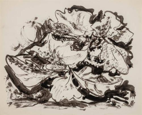 Photo Credit: Toni Hafkenscheid