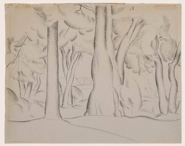 Photo Credit: Toni Hafkenscheid